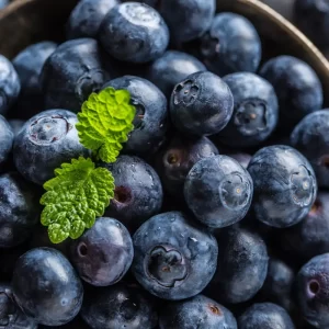 IQF Blueberries