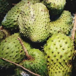 Frozen Soursop