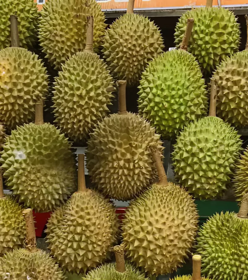 durian-1